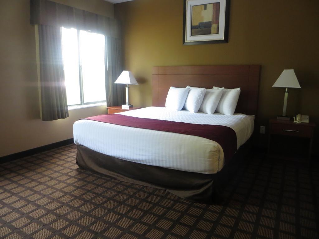 Baymont By Wyndham New Buffalo Pokoj fotografie